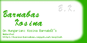 barnabas kosina business card